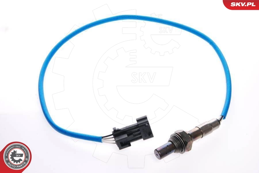 Oxygen Sensor